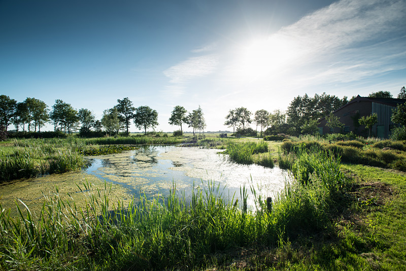 Fotoreportage: Bio-Bauernhof Noorderlicht