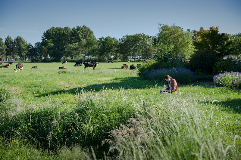 Fotoreportage: Bio-Bauernhof Noorderlicht