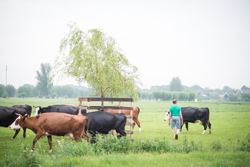 Fotoreportage: Bio-Bauernhof Noorderlicht