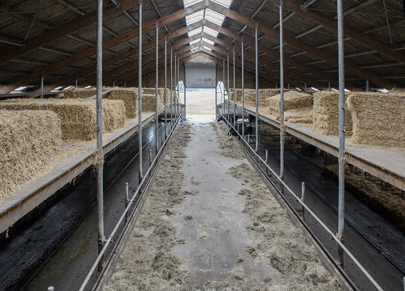 Fotoreportage: Bio-Bauernhof Noorderlicht