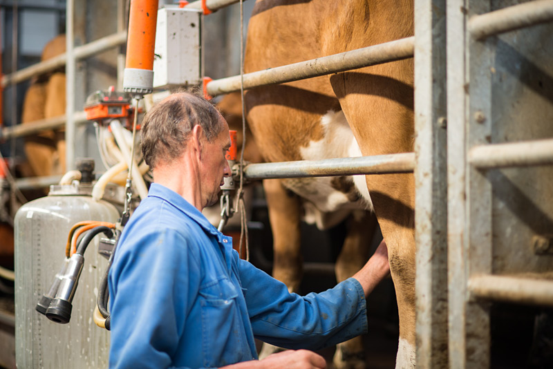 Fotoreportage: Bio-Bauernhof Noorderlicht