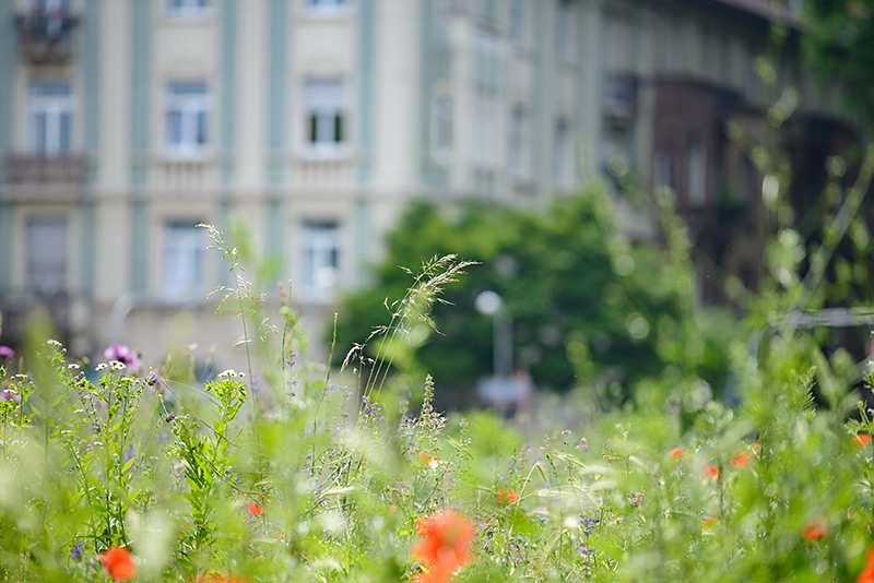 Grünflächen und Umwelt