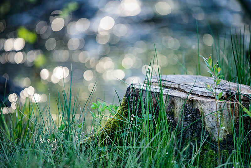 Grünflächen und Umwelt