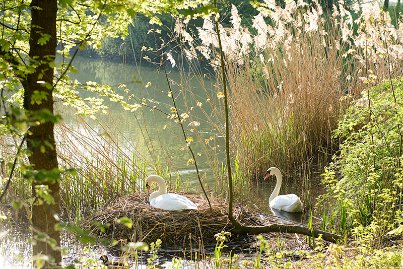 Grünflächen und Umwelt