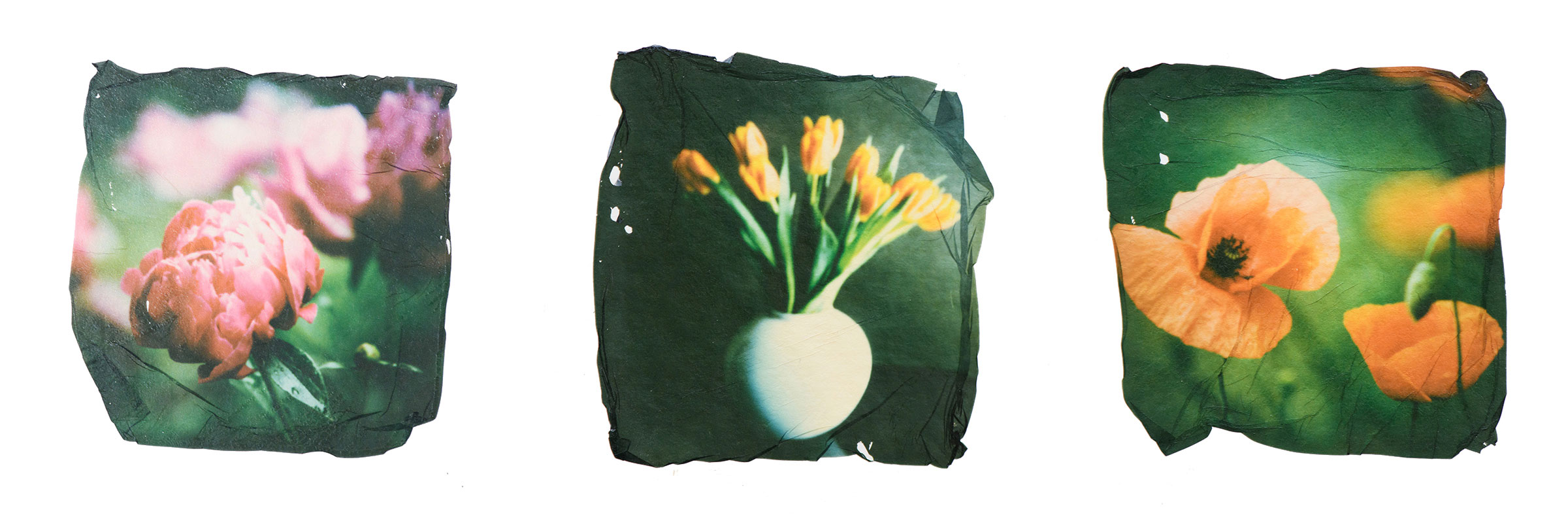 Polaroid Emulsion Lift Mannheim